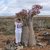 Наталья Дорошева изучает бутылочное дерево